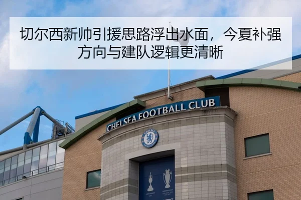 切尔西新帅引援思路浮出水面，今夏补强方向与建队逻辑更清晰 | Sina Sports